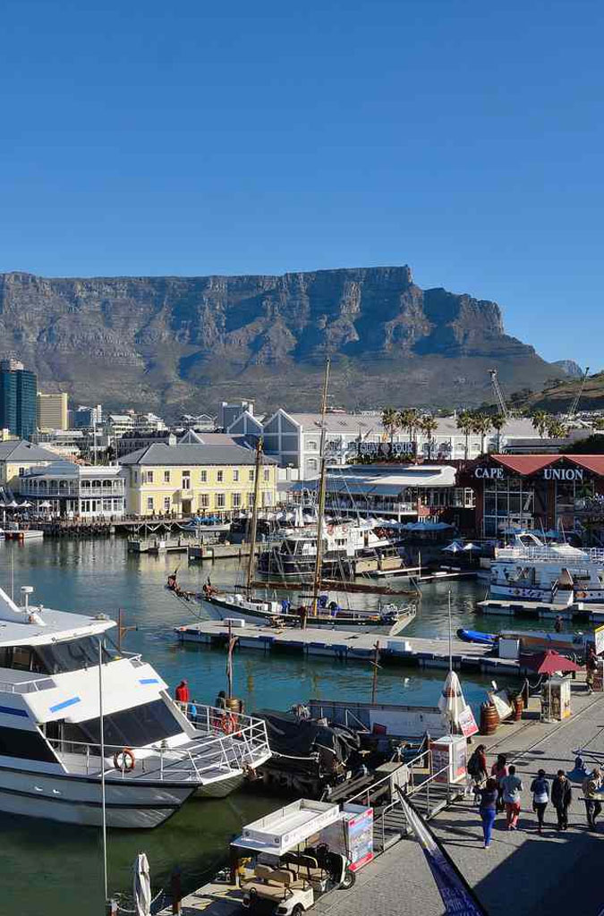 Cape Town Tours 